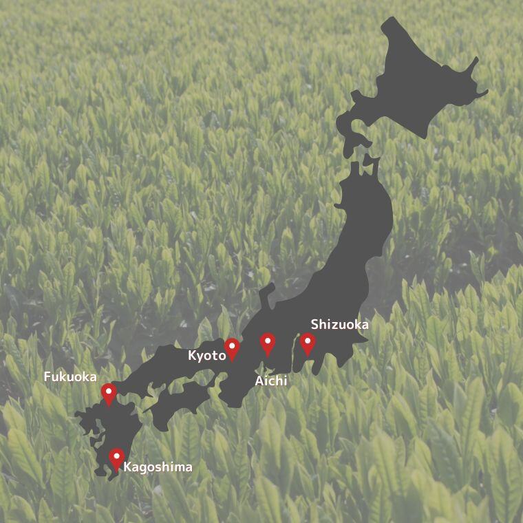 Matcha Producers across Japan Matcha Producers across Japan
